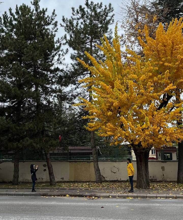 Eskişehir
